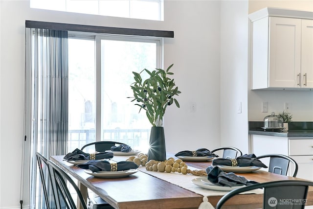 dining area featuring a wealth of natural light