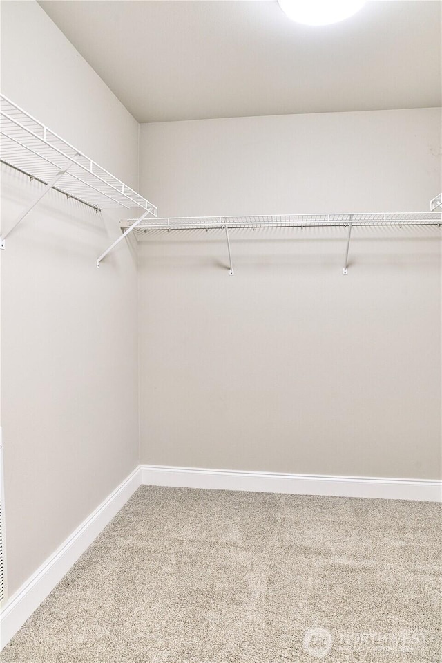12310 NE 92nd St Unit H202, Kirkland, WA 98033 - spacious closet with carpet