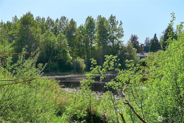 view of local wilderness with a view of trees and a water view
