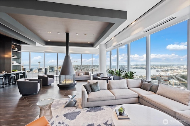 living area featuring wood finished floors, a wood stove, a raised ceiling, and a water view