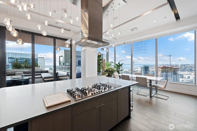 kitchen with stainless steel gas stovetop, island range hood, wood finished floors, dark brown cabinets, and hanging light fixtures