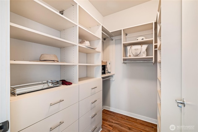 spacious closet with dark wood-style floors