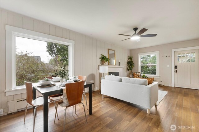living room with a baseboard radiator, a ceiling fan, a baseboard heating unit, and wood finished floors