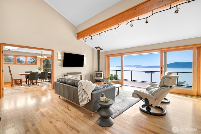 living room with rail lighting, high vaulted ceiling, wood finished floors, and a wood stove