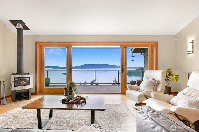 living room with a wood stove and wood finished floors