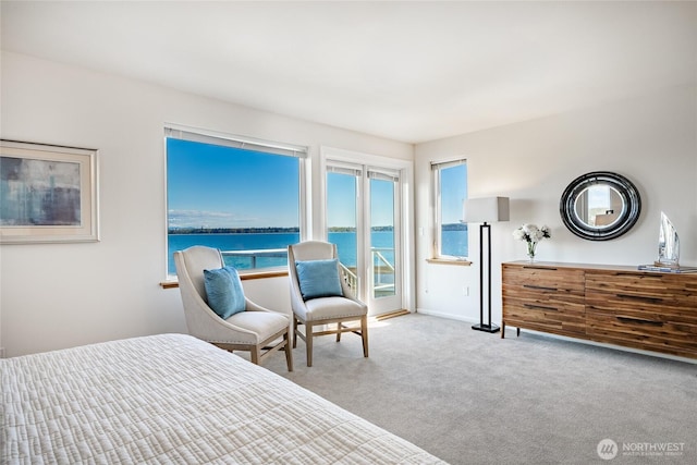 8012 Chinook Way, Blaine, WA 98230 - bedroom featuring carpet floors, baseboards, a water view, and access to outside