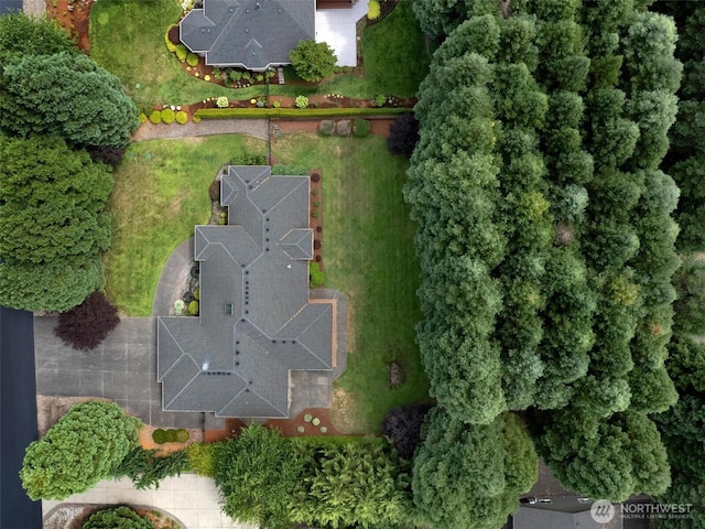 drone / aerial view