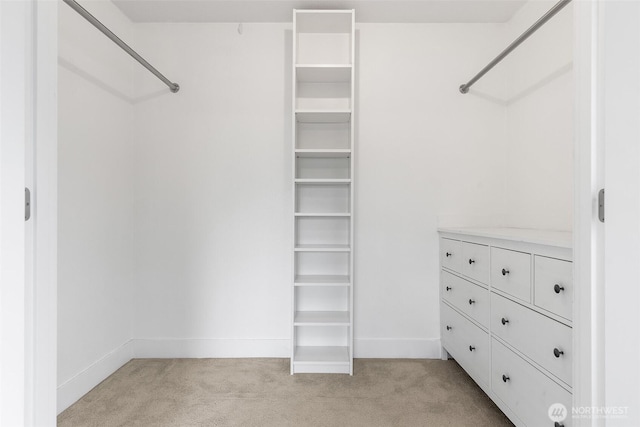 23255 133rd Ave SE, Kent, WA 98042 - walk in closet with light carpet
