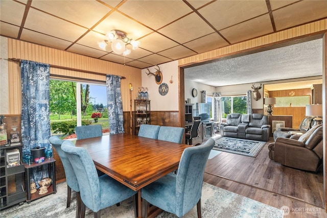 dining room with wooden walls, wainscoting, and wood finished floors