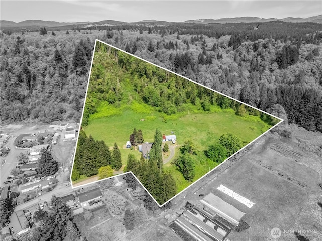 aerial view featuring a wooded view and a mountain view