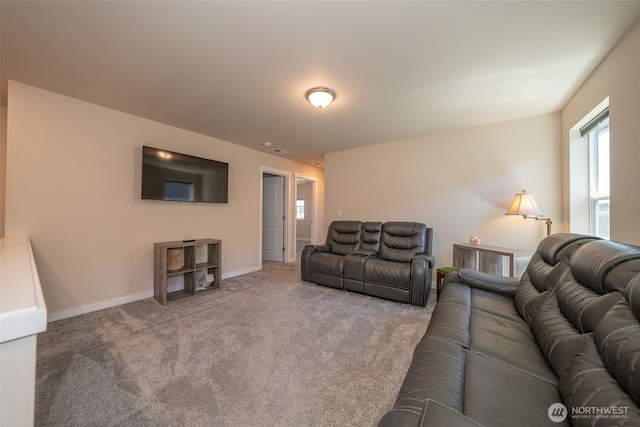 917 Vine Maple St SE, Lacey, WA 98503 - photo 26