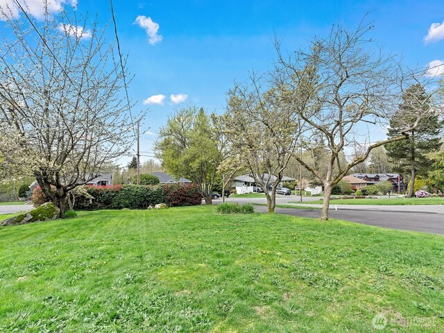 view of yard with a residential view