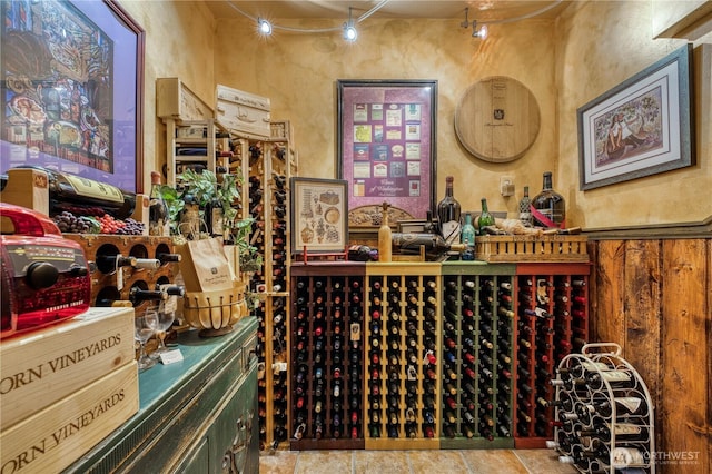 135 NE Boad Haven Rd, Belfair, WA 98528 - wine room featuring a textured wall