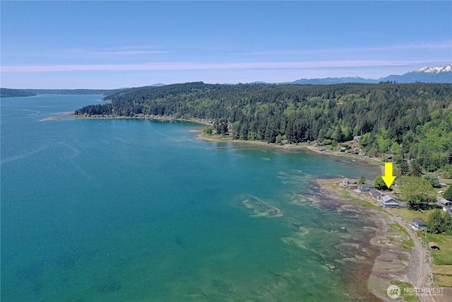 135 NE Boad Haven Rd, Belfair, WA 98528 - aerial view of a heavily wooded area and a water and mountain view