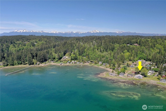 135 NE Boad Haven Rd, Belfair, WA 98528 - drone / aerial view of a forest and a water and mountain view