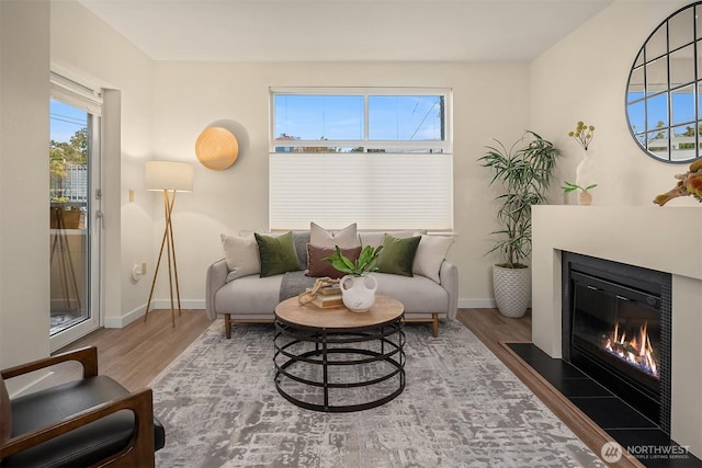 living area with a glass covered fireplace, baseboards, and wood finished floors