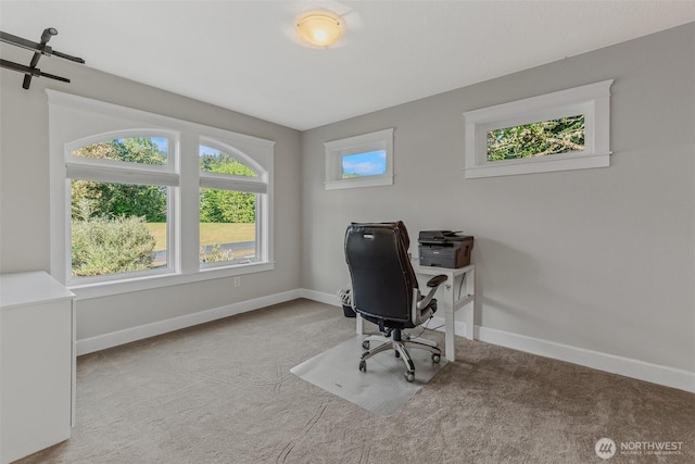 131 Dalyn Ct, Kalama, WA 98625 - photo 22