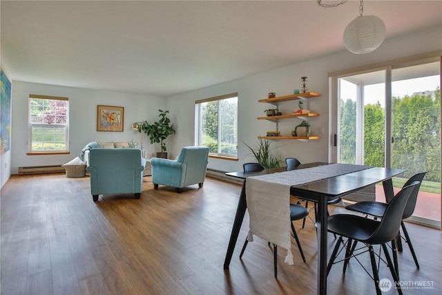 500 Creekside Ter Unit 101, Langley, WA 98260 - dining space featuring a baseboard radiator, plenty of natural light, and wood finished floors