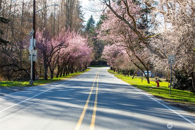 500 Creekside Ter Unit 101, Langley, WA 98260 - view of asphalt road with traffic signs