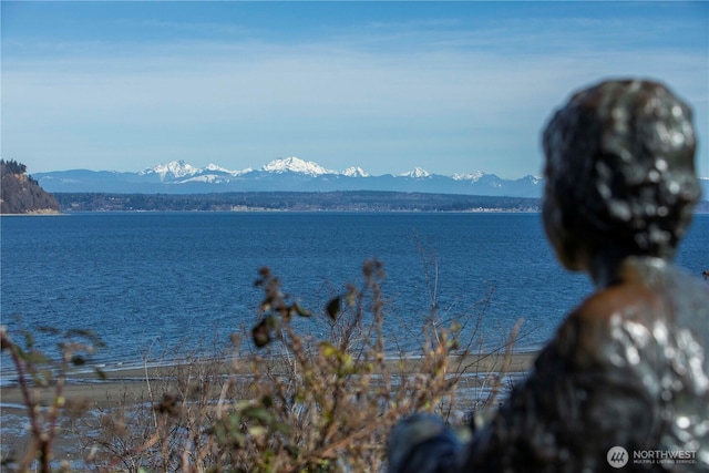 500 Creekside Ter Unit 101, Langley, WA 98260 - water view with mountains