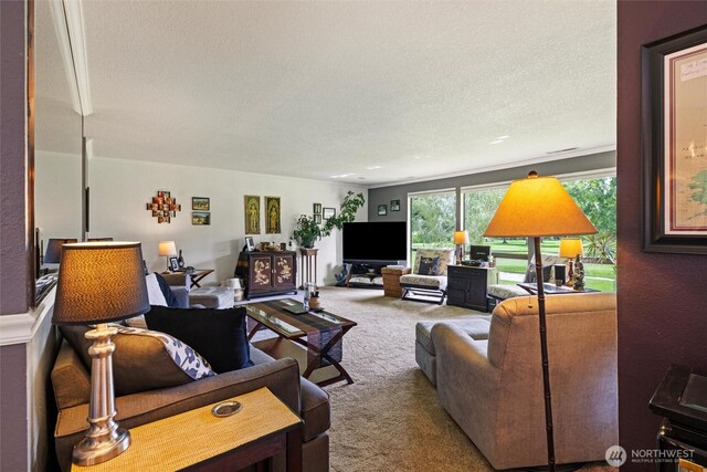 living area with carpet flooring and a textured ceiling