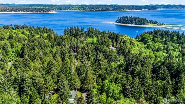 drone / aerial view with a water view and a view of trees