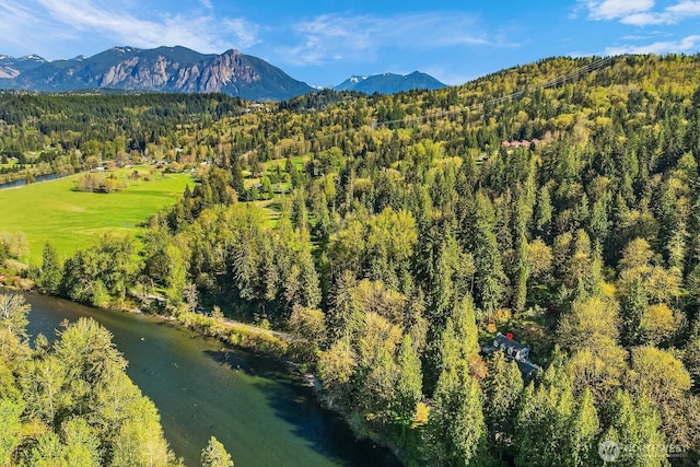 drone / aerial view with a view of trees and a mountain view