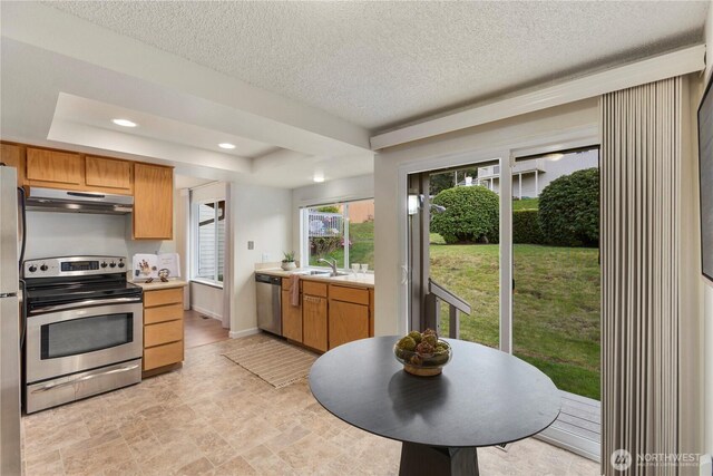 kitchen featuring appliances with stainless steel finishes, light countertops, a sink, a raised ceiling, and under cabinet range hood