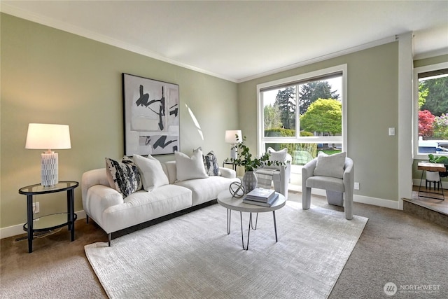 carpeted living area featuring baseboards and ornamental molding