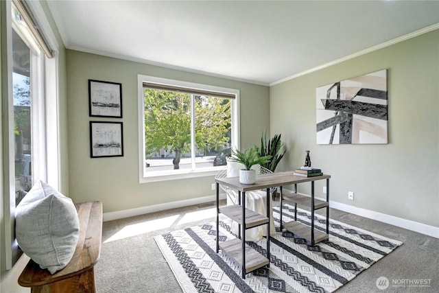 office space featuring baseboards, ornamental molding, and carpet