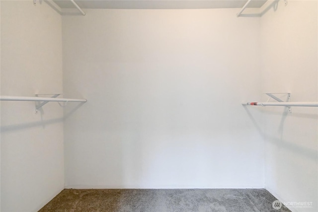 spacious closet with carpet floors