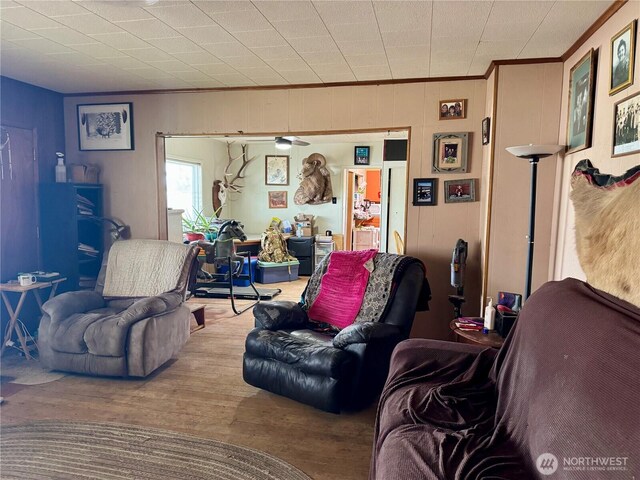 living area featuring crown molding and wood finished floors