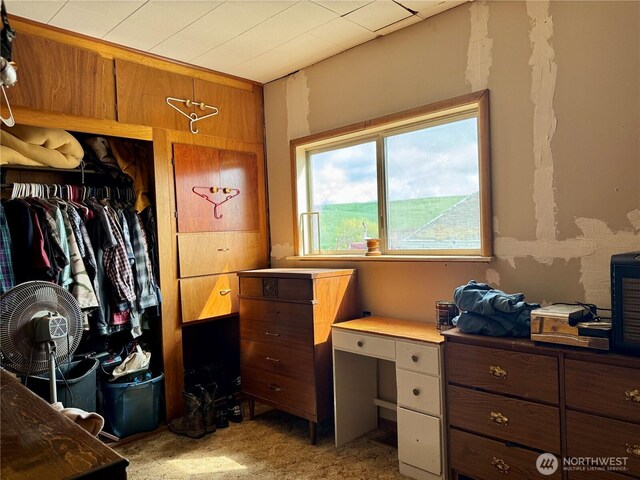bedroom featuring light carpet and a closet