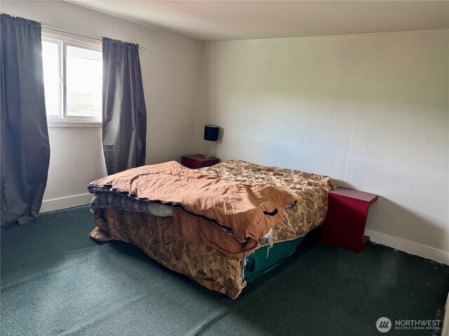 bedroom with baseboards and carpet floors