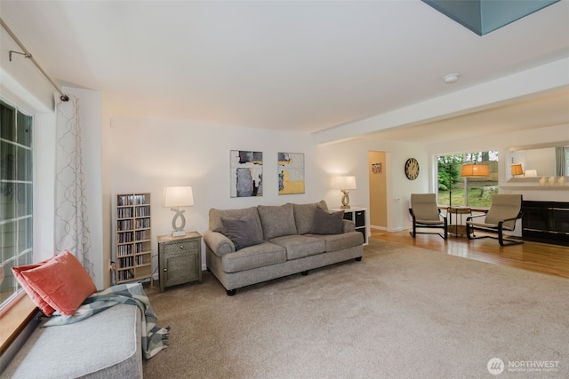 living room featuring carpet floors
