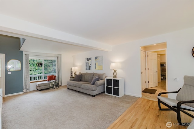 carpeted living room with baseboards and wood finished floors