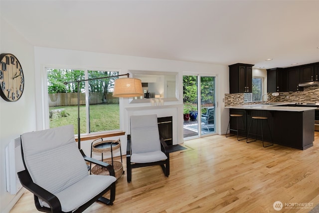 interior space with a fireplace with flush hearth and light wood finished floors