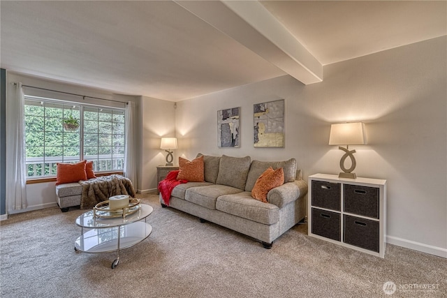34086 Bridge View Dr NE, Kingston, WA 98346 - living area with carpet floors and baseboards