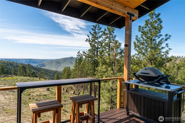 317 Cottontail Ln, Chelan, WA 98816 - photo 10