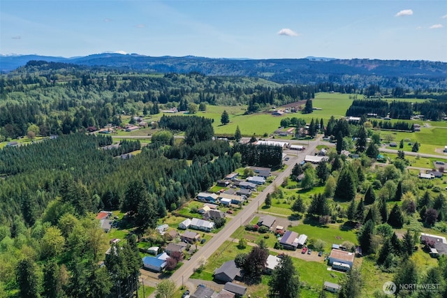 245 Stowell Rd, Salkum, WA 98570 - aerial view featuring a view of trees and a mountain view