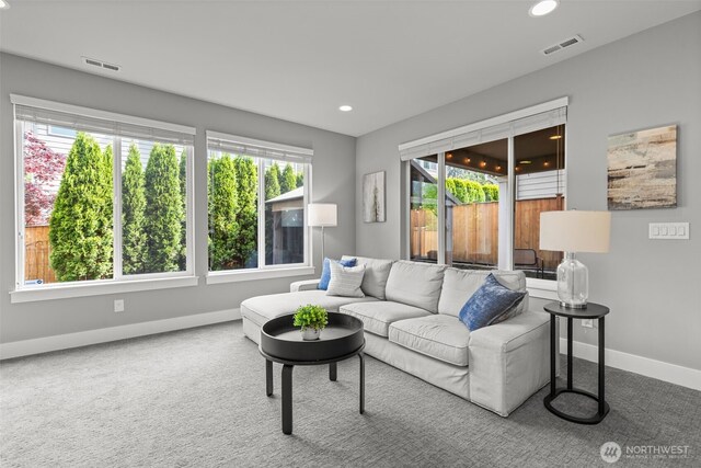 carpeted living room featuring baseboards, visible vents, and a wealth of natural light