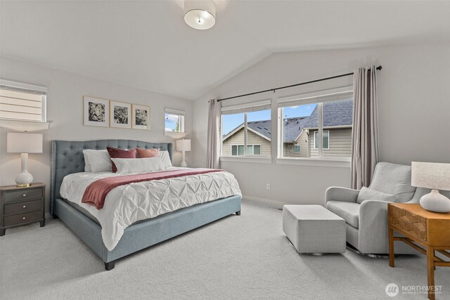 bedroom featuring baseboards, carpet, and lofted ceiling