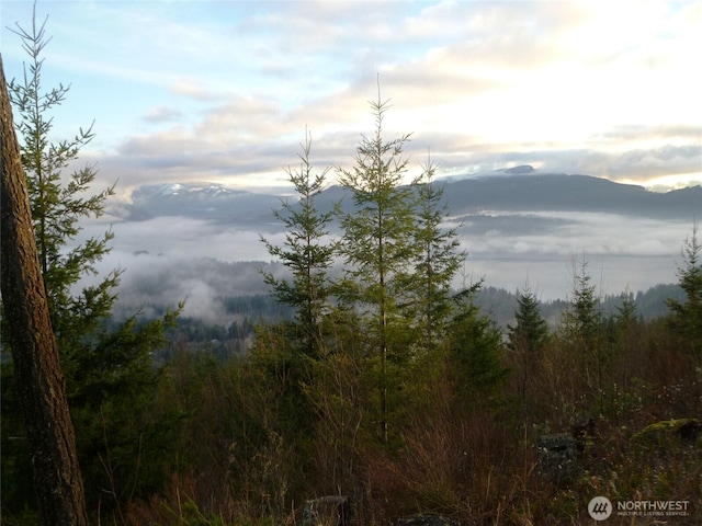 20 Academy Highlands, Bellingham, WA 98226