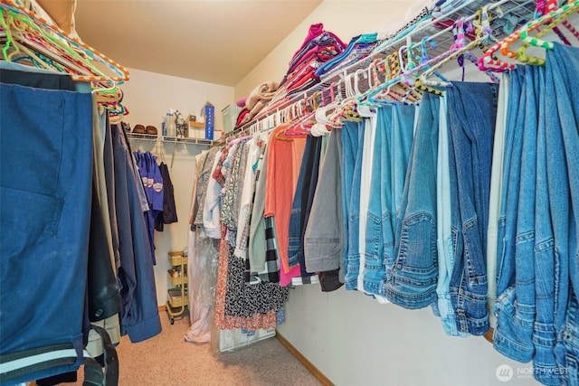 spacious closet featuring carpet flooring