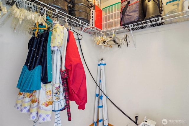 view of walk in closet