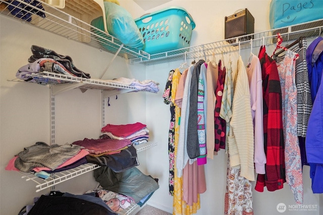 view of spacious closet