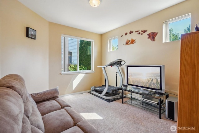 exercise area featuring carpet floors and baseboards