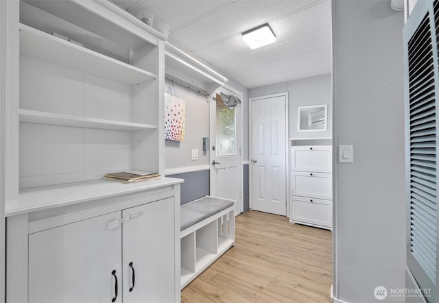 walk in closet featuring light wood-type flooring