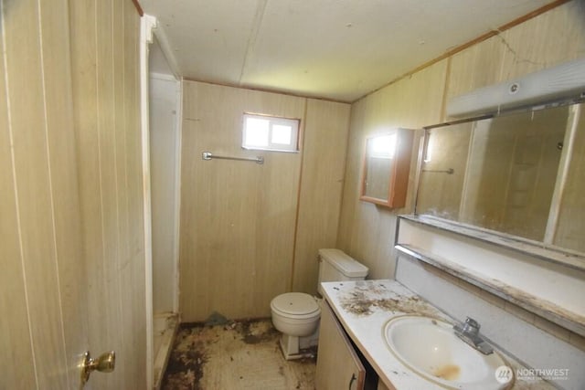 full bathroom with vanity, a shower, and toilet