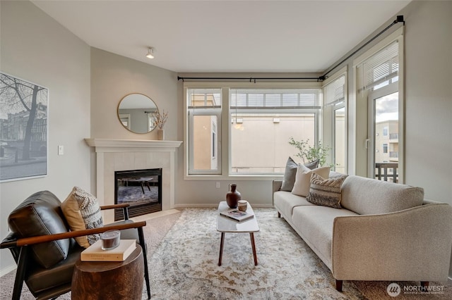 109 2nd St S Unit 523, Kirkland, WA 98033 - living area with a fireplace, baseboards, and carpet